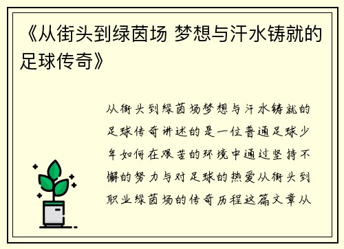 《从街头到绿茵场 梦想与汗水铸就的足球传奇》